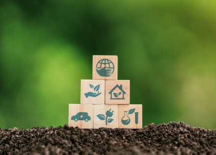 Icones de sostenibilitat sobre un fons vegetal
